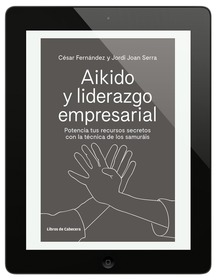 Aikido y liderazgo empresarial